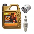 Caterham 310 Ford Sigma 1.6 Service Kit